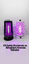 Sineklik lamba